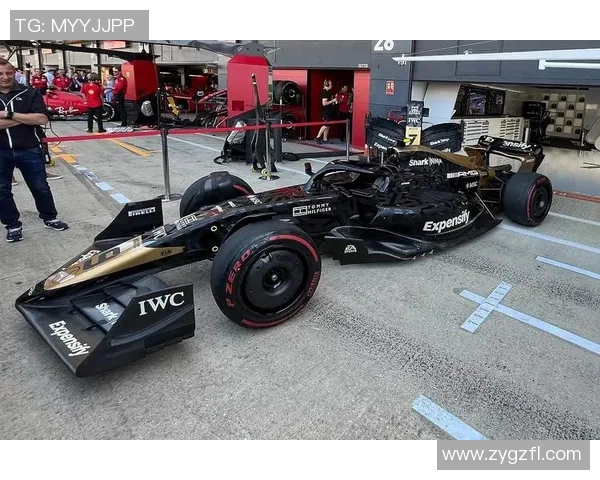 F1赛车工程师对比赛策略的重要作用 F1赛车工程师对比赛策略的重要作用